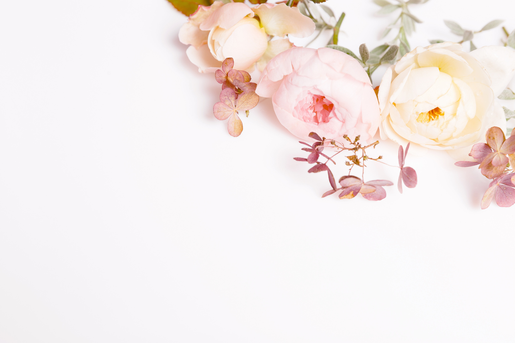 Festive flower composition on the white background. Overhead view